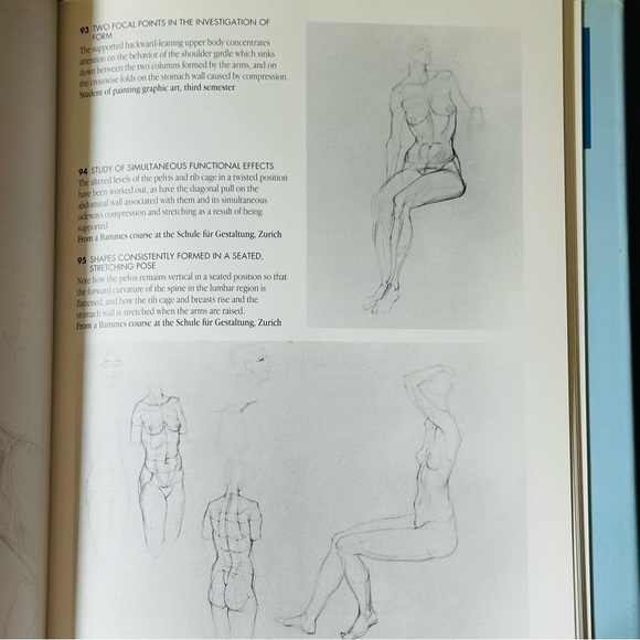 The Artists’ Guide to Human Anatomy An Illustrated Reference Hardcover Book - Picture 9 of 16
